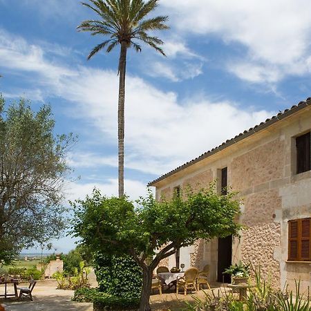 Agroturismo Es Pla De Llodra Manacor  Exteriér fotografie