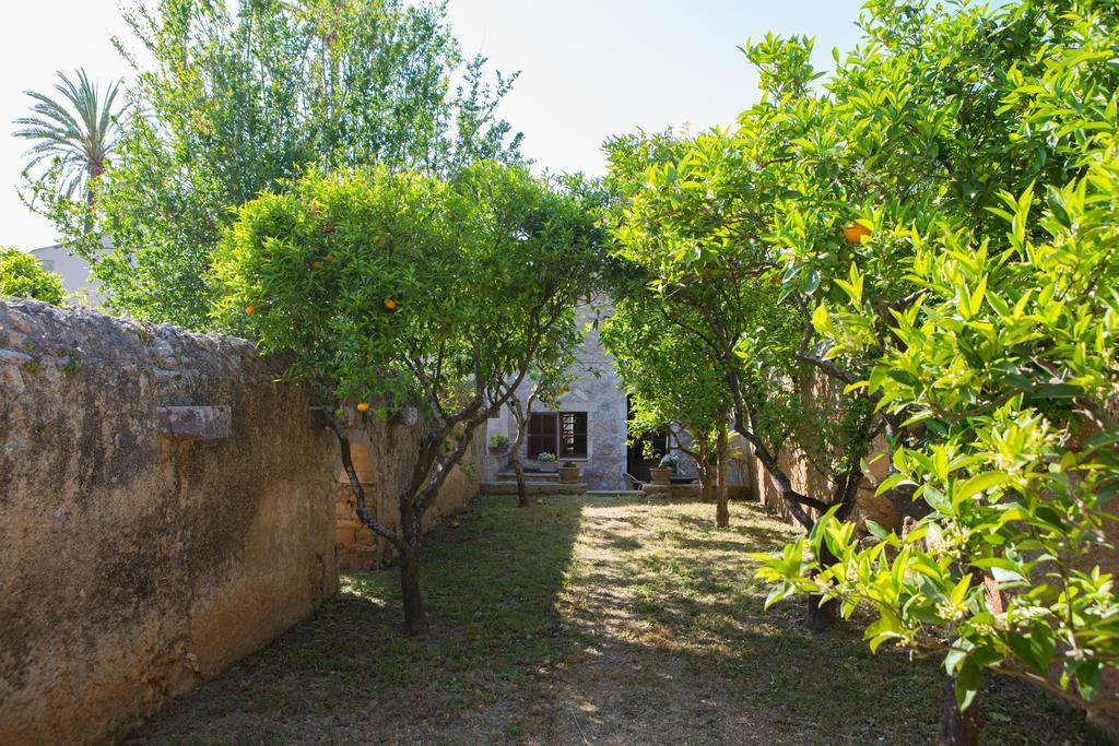 Agroturismo Es Pla De Llodra Manacor  Pokoj fotografie